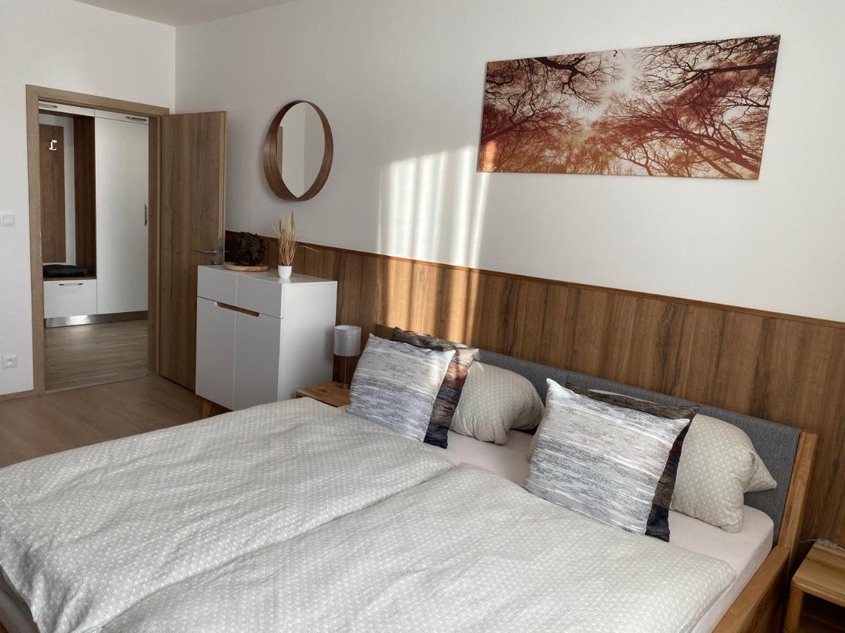 Apartment Petra Klinovec Loučná pod Klínovcem 외부 사진
